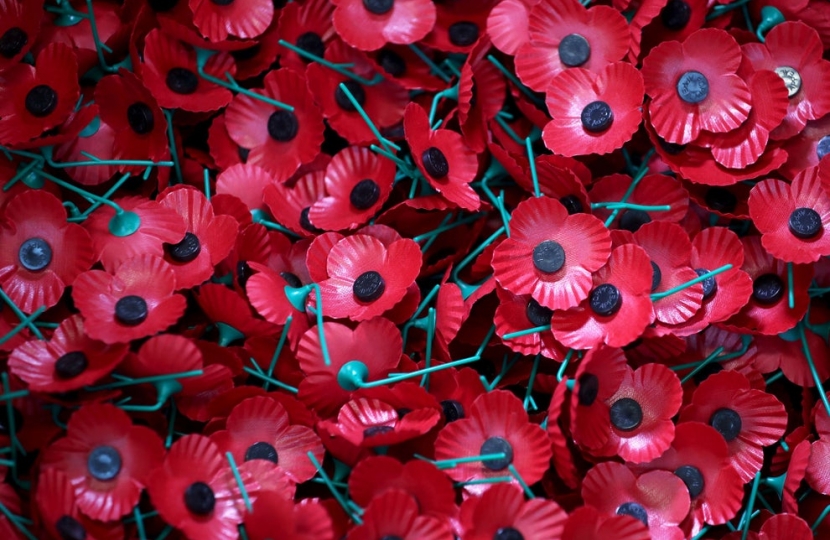 Greg urges constituents to support Poppy Appeal electronically