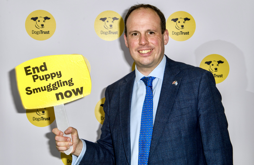 Greg Smith MP supports leading dog welfare charity Dogs Trust’s plea to end cruel puppy smuggling trade